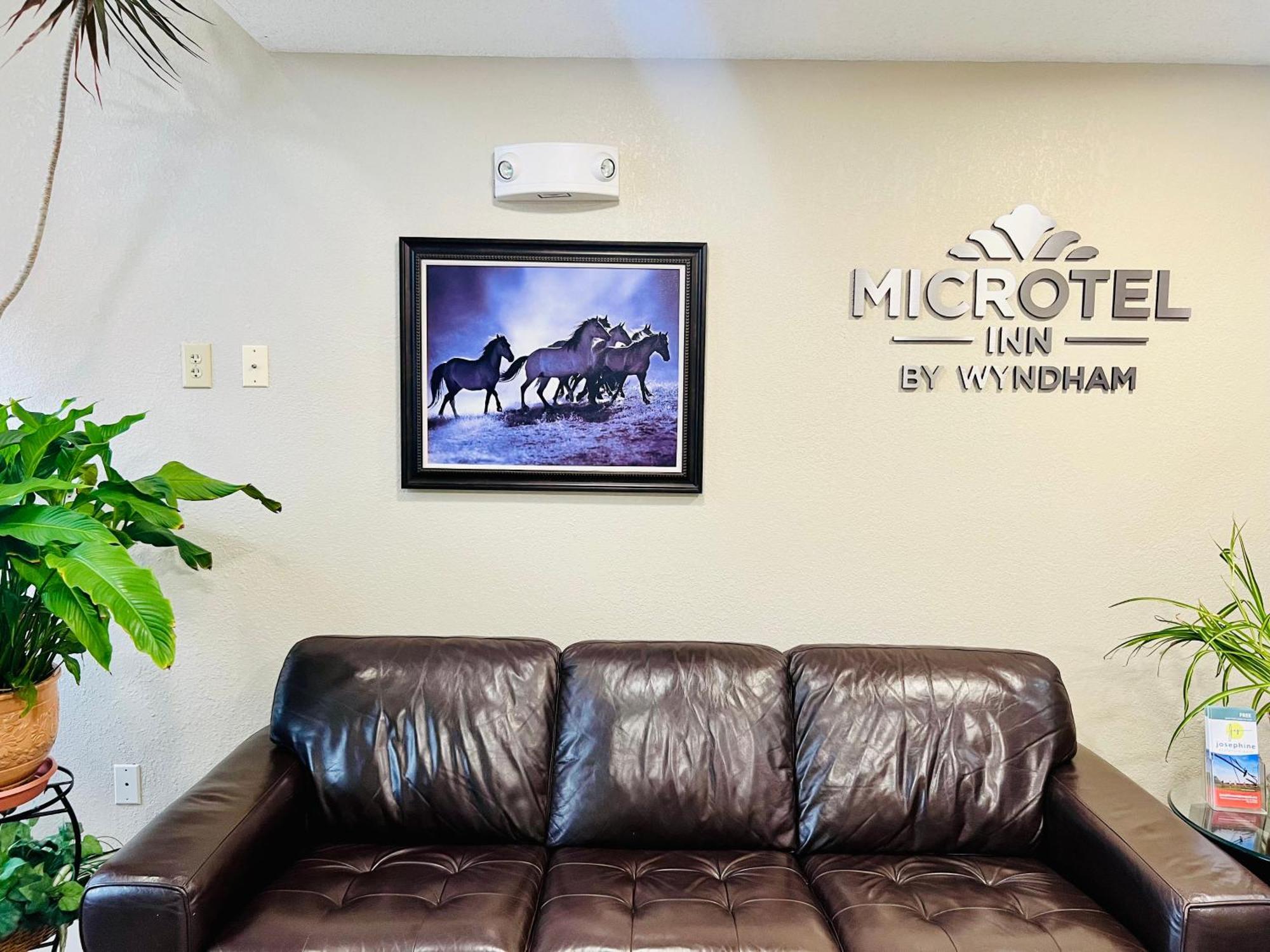 Microtel Inn Georgetown - Lexington North Exteriér fotografie