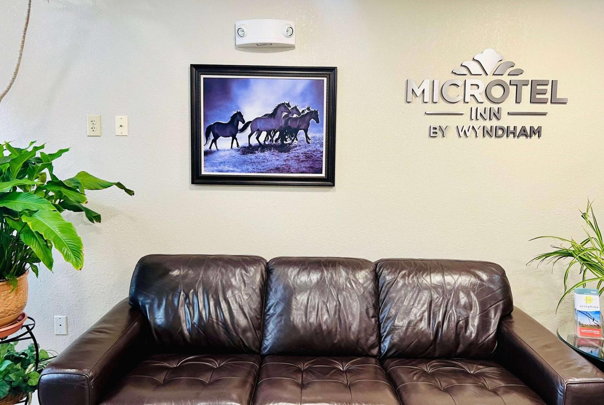 Microtel Inn Georgetown - Lexington North Exteriér fotografie